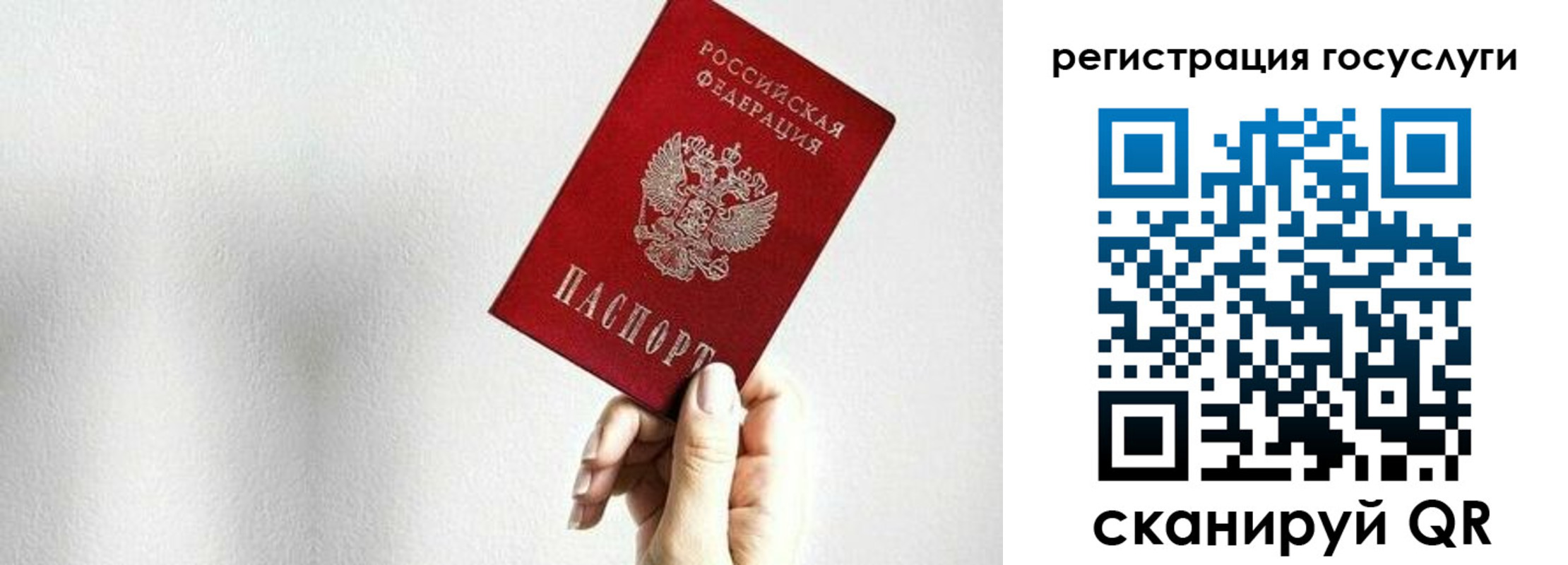 прописка гарантия в Вытегре